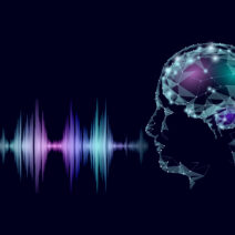 From Avatars to Voice: The Complete AI Content Toolkit of 2025 7